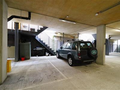 Picture 21